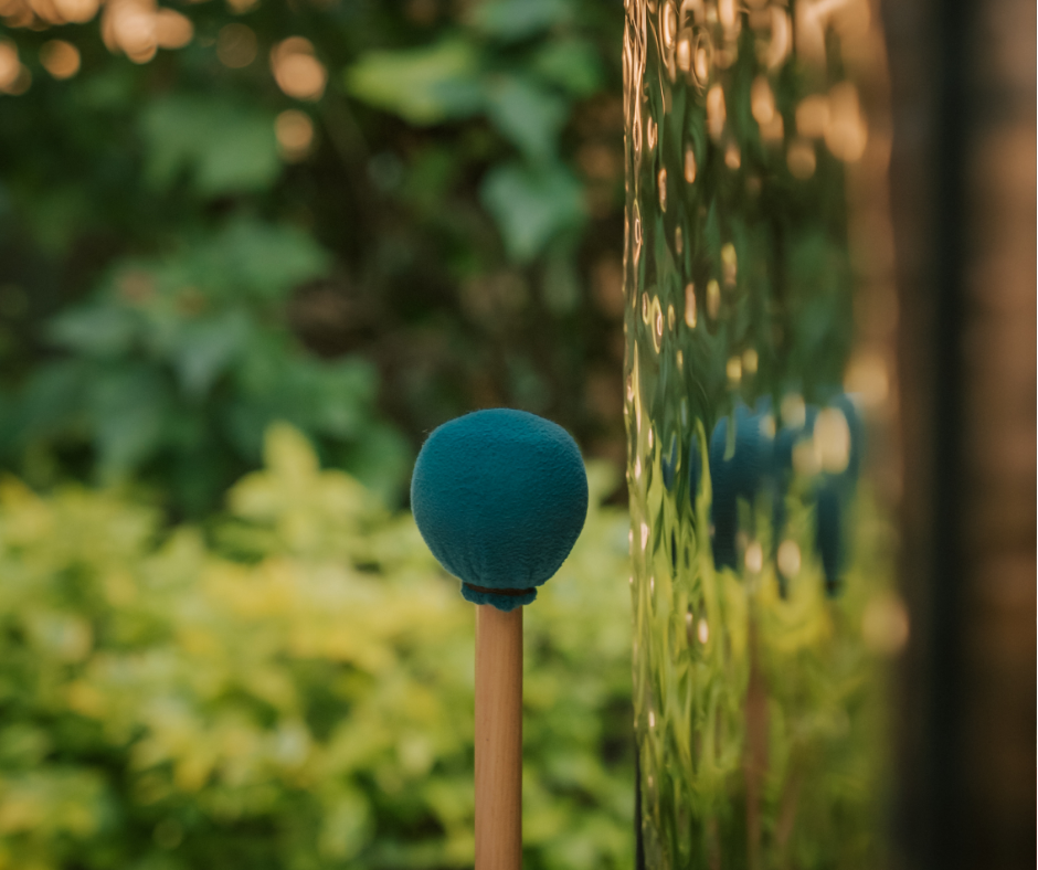 Experiencias diarias en Misión del Sol